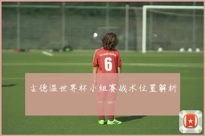 古德温世界杯小组赛战术位置解析