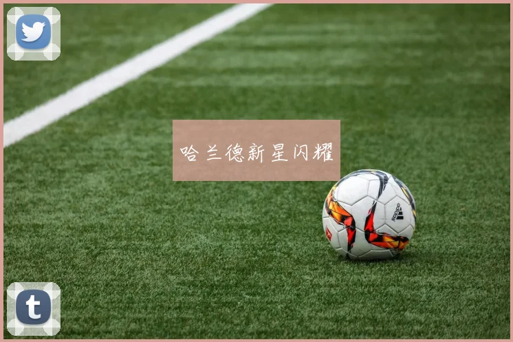 哈兰德新星闪耀