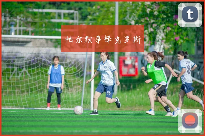 帕尔默争锋克罗斯