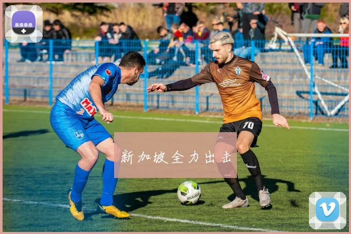 新加坡全力出击