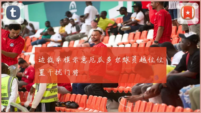 边裁举旗示意厄瓜多尔球员越位位置干扰门将
