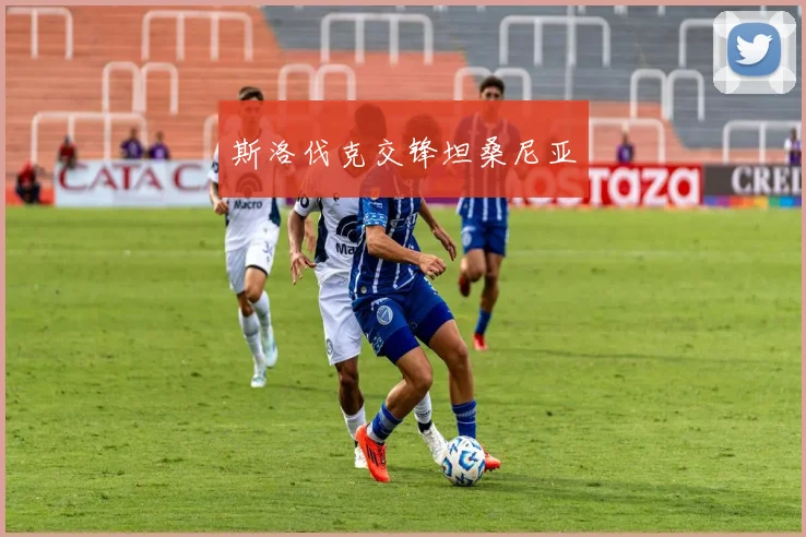 斯洛伐克交锋坦桑尼亚