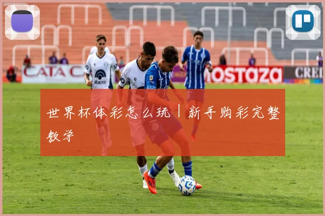 世界杯体彩怎么玩｜新手购彩完整教学