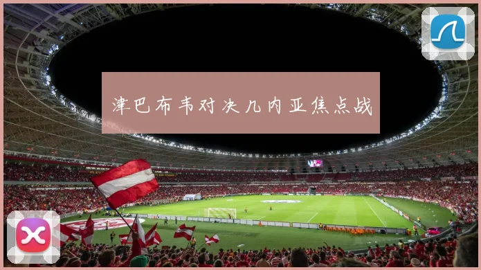 津巴布韦对决几内亚焦点战