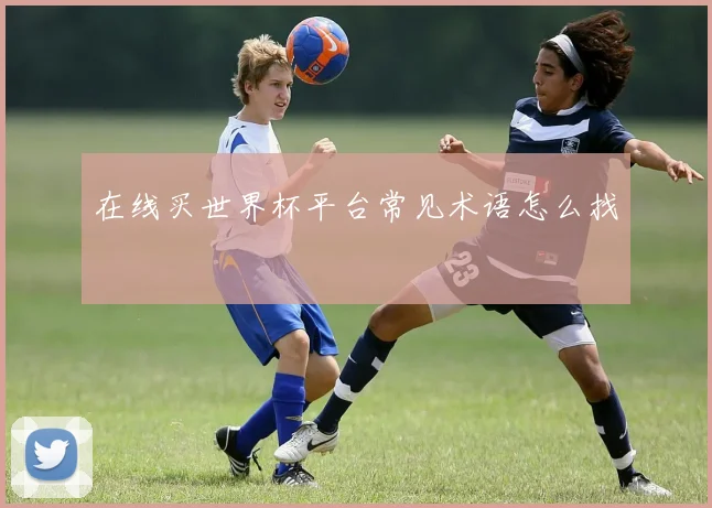 在线买世界杯平台常见术语怎么找