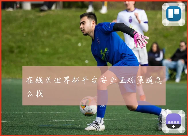 在线买世界杯平台安全正规渠道怎么找