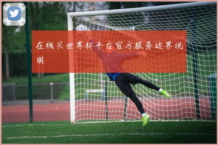 在线买世界杯平台官方服务边界说明