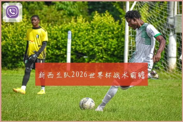 新西兰队2026世界杯战术前瞻