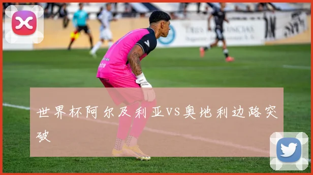 世界杯阿尔及利亚vs奥地利边路突破