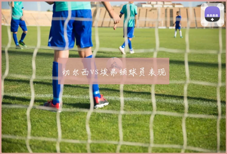 切尔西vs埃弗顿球员表现