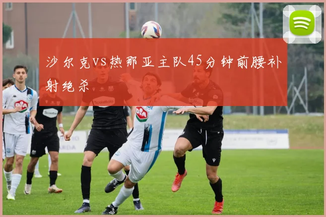 沙尔克vs热那亚主队45分钟前腰补射绝杀